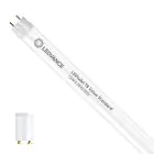 Ledvance LED Röhre T8 Value (EM/Mains) Standard Output 15W 1800lm - 865 Tageslichtweiß | 120cm - Ersatz für 36W