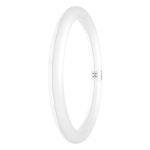 Osram Tube LED T9 Circulaire (EM/Direct 230V) 18.3W 2200lm - 840 Blanc Froid | Équivalent 32W