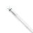 Philips Master Tube LED T8 (EM/Direct 230V) High Output T8 11.3W 2100lm - 865 Lumière Du Jour | 120cm - Équivalent 36W