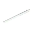 Philips Réglette LED Étanche CoreLine WT120C Gen2 25/43W 3700/6000lm - 840 Blanc Froid | 150cm