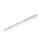 Philips Réglette LED Étanche Ledinaire WT065C 23/42W 2900/4800lm - 840 Blanc Froid | 120cm