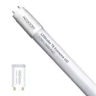 Noxion Tube LED T8 Avant Extreme (EM/Direct 230V) Ultra Output 15.9W 2550lm - 840 Blanc Froid | 120cm - Équivalent 36W